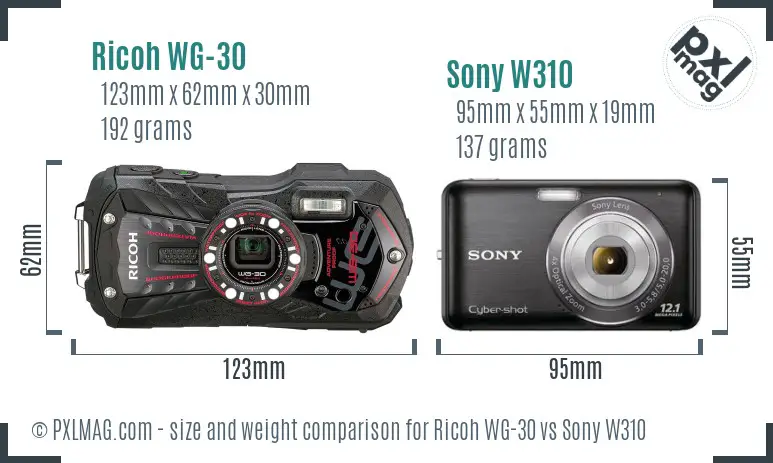 Ricoh WG-30 vs Sony W310 size comparison