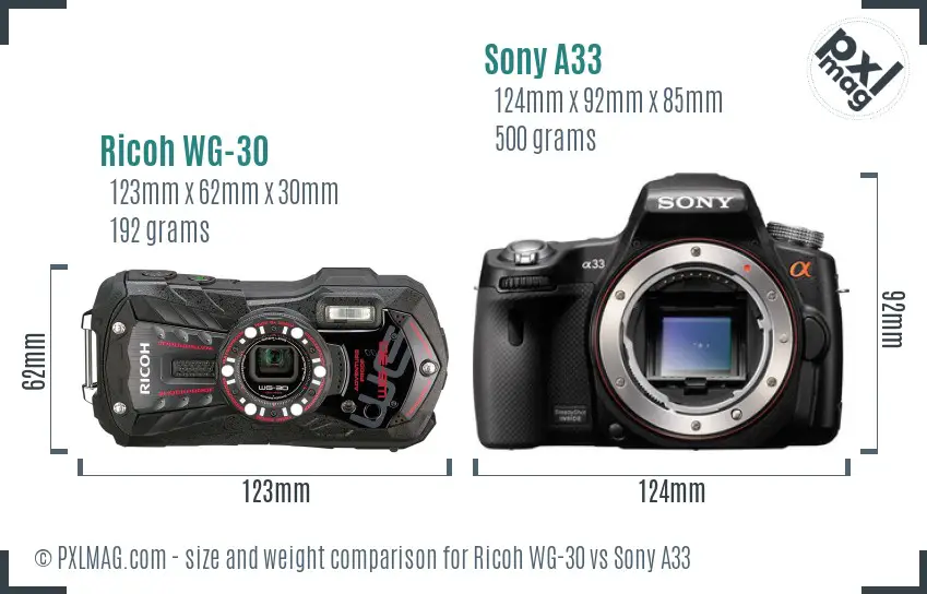 Ricoh WG-30 vs Sony A33 size comparison