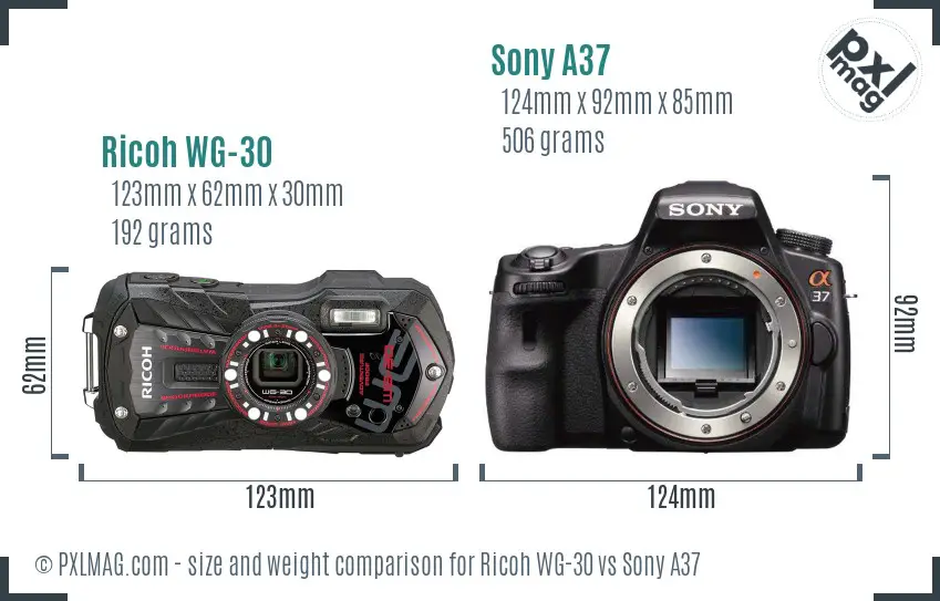 Ricoh WG-30 vs Sony A37 size comparison