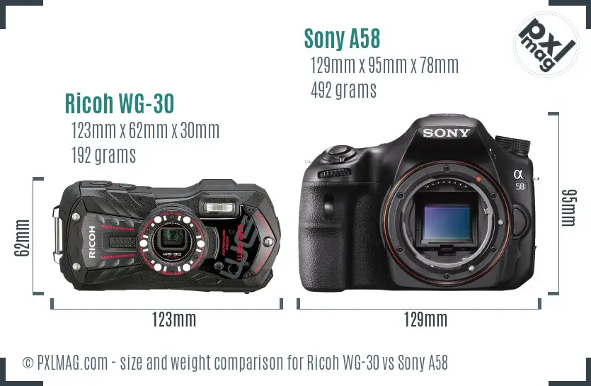 Ricoh WG-30 vs Sony A58 size comparison