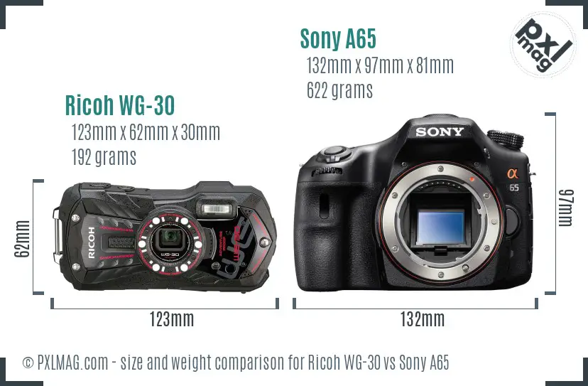 Ricoh WG-30 vs Sony A65 size comparison