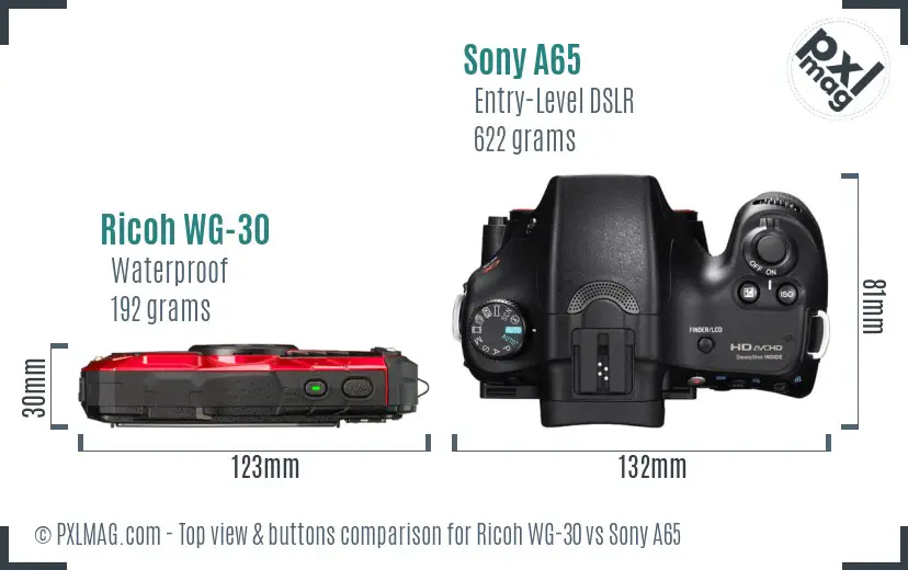Ricoh WG-30 vs Sony A65 top view buttons comparison