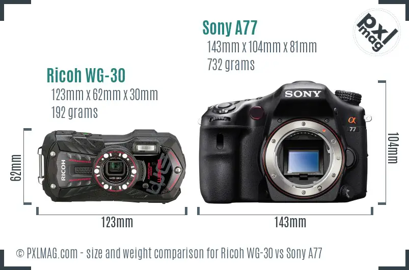 Ricoh WG-30 vs Sony A77 size comparison