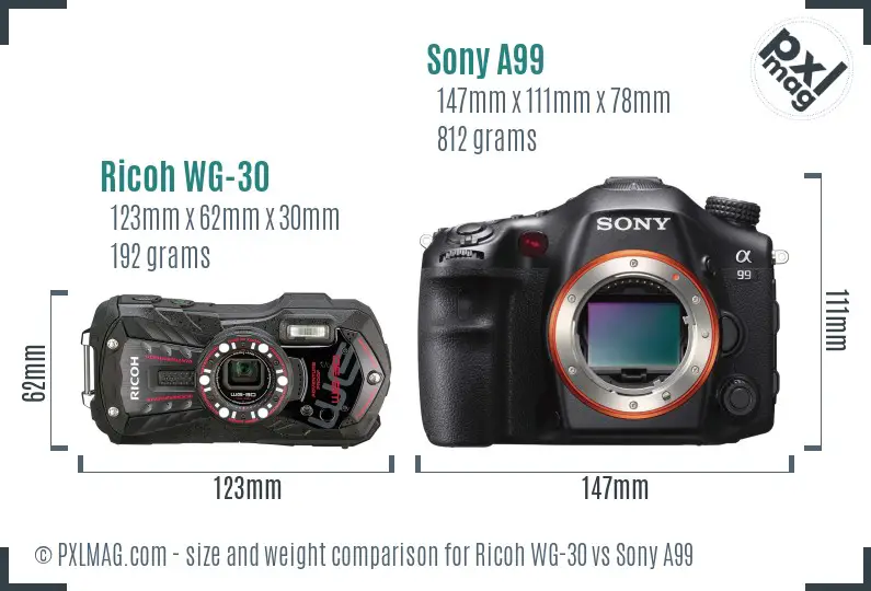 Ricoh WG-30 vs Sony A99 size comparison