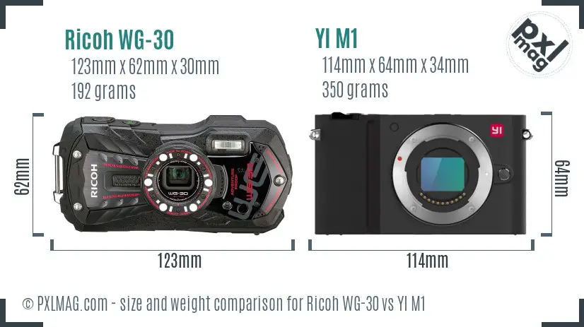 Ricoh WG-30 vs YI M1 size comparison