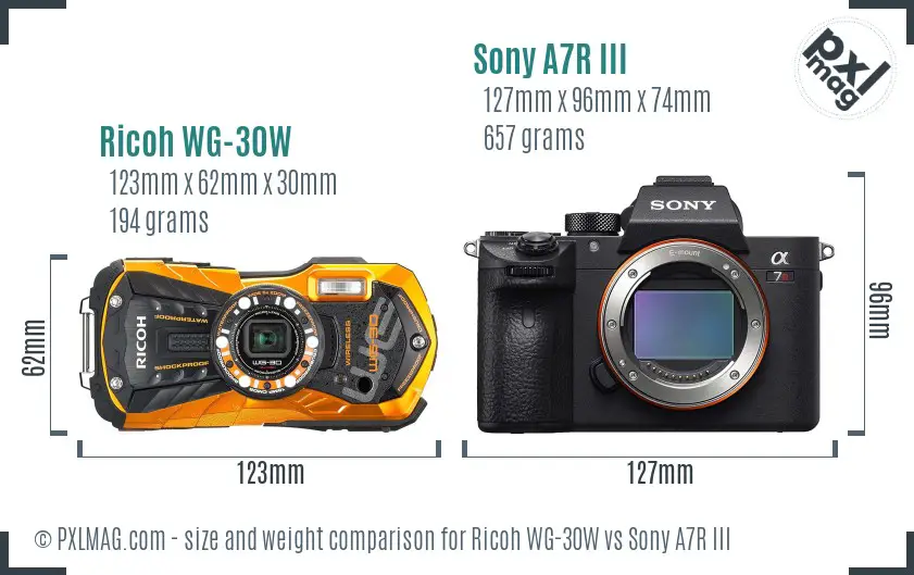 Ricoh WG-30W vs Sony A7R III size comparison