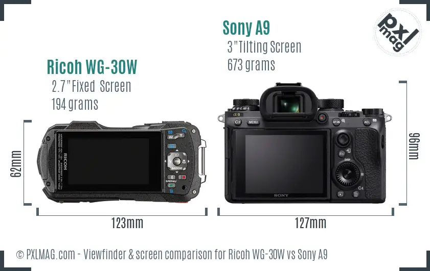 Ricoh WG-30W vs Sony A9 Screen and Viewfinder comparison Ricoh WG-30W vs Sony A9 Screen and Viewfinder comparison