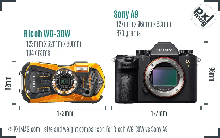 Ricoh WG-30W vs Sony A9 size comparison Ricoh WG-30W vs Sony A9 size comparison