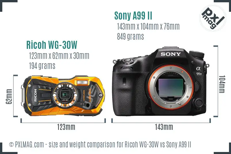 Ricoh WG-30W vs Sony A99 II size comparison