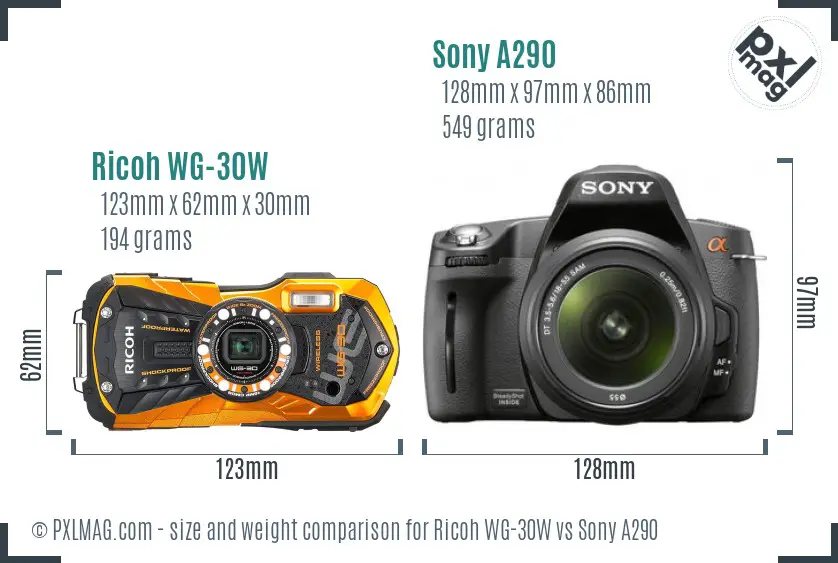 Ricoh WG-30W vs Sony A290 size comparison