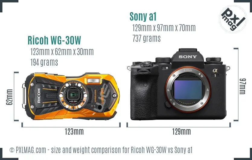 Ricoh WG-30W vs Sony a1 size comparison
