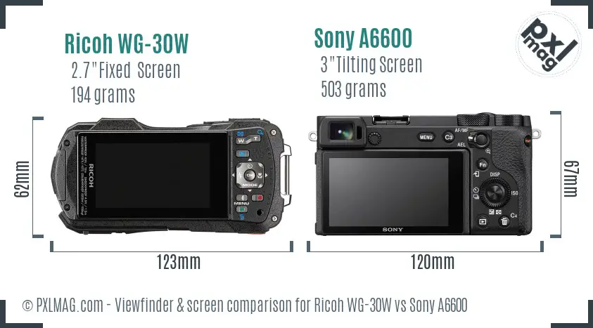 Ricoh WG-30W vs Sony A6600 Screen and Viewfinder comparison