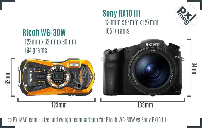 Ricoh WG-30W vs Sony RX10 III size comparison
