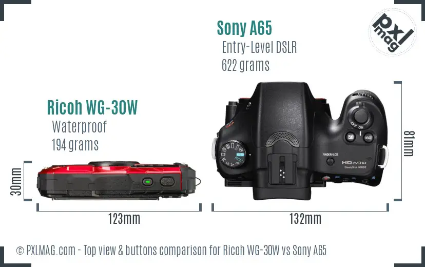 Ricoh WG-30W vs Sony A65 top view buttons comparison