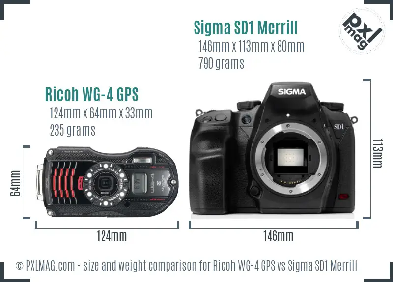 Ricoh WG-4 GPS vs Sigma SD1 Merrill size comparison