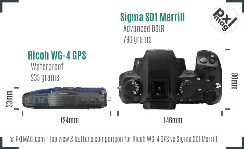 Ricoh WG-4 GPS vs Sigma SD1 Merrill top view buttons comparison