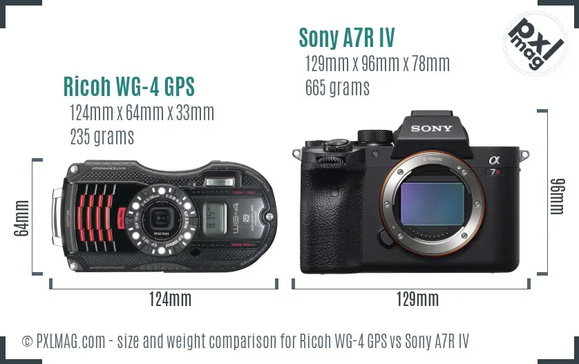 Ricoh WG-4 GPS vs Sony A7R IV size comparison