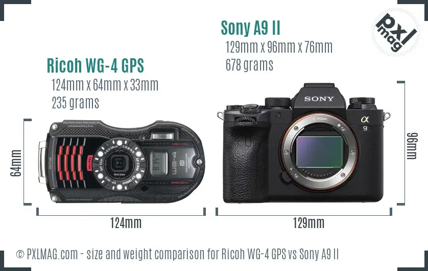 Ricoh WG-4 GPS vs Sony A9 II size comparison