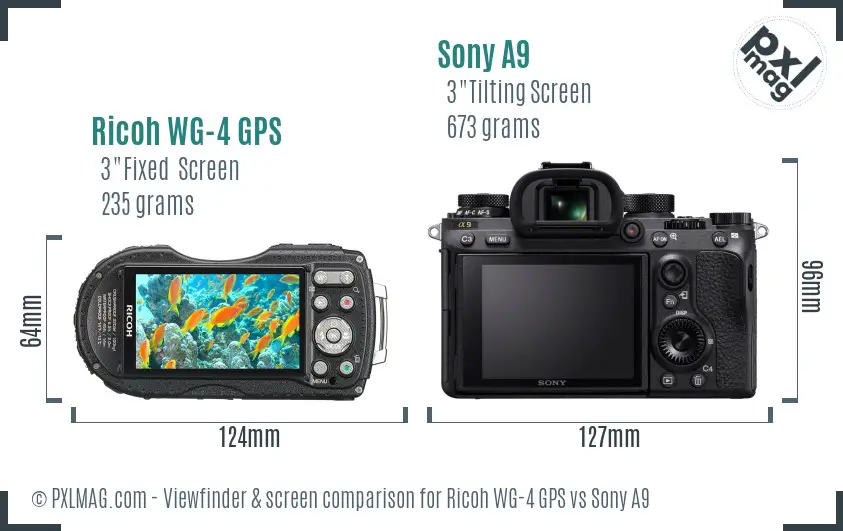 Ricoh WG-4 GPS vs Sony A9 Screen and Viewfinder comparison