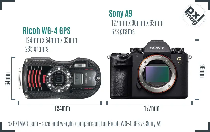 Ricoh WG-4 GPS vs Sony A9 size comparison