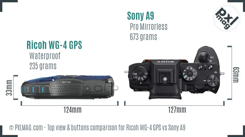 Ricoh WG-4 GPS vs Sony A9 top view buttons comparison