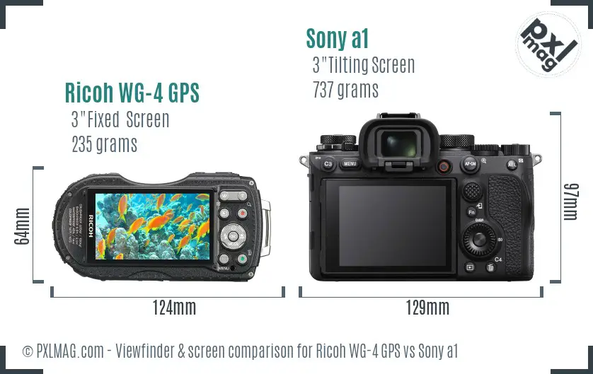 Ricoh WG-4 GPS vs Sony a1 Screen and Viewfinder comparison