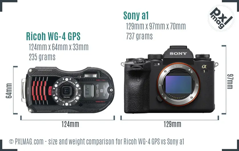 Ricoh WG-4 GPS vs Sony a1 size comparison