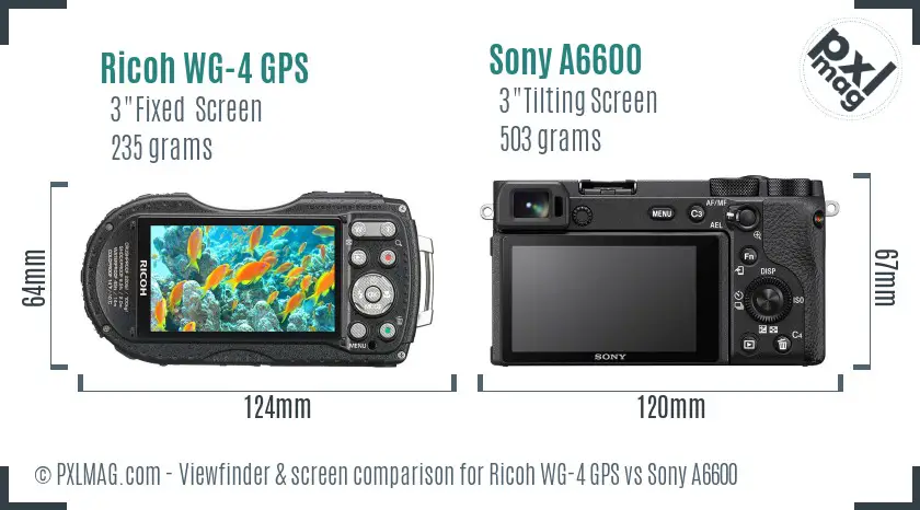 Ricoh WG-4 GPS vs Sony A6600 Screen and Viewfinder comparison