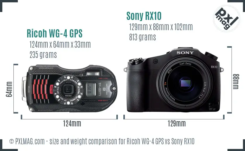 Ricoh WG-4 GPS vs Sony RX10 size comparison