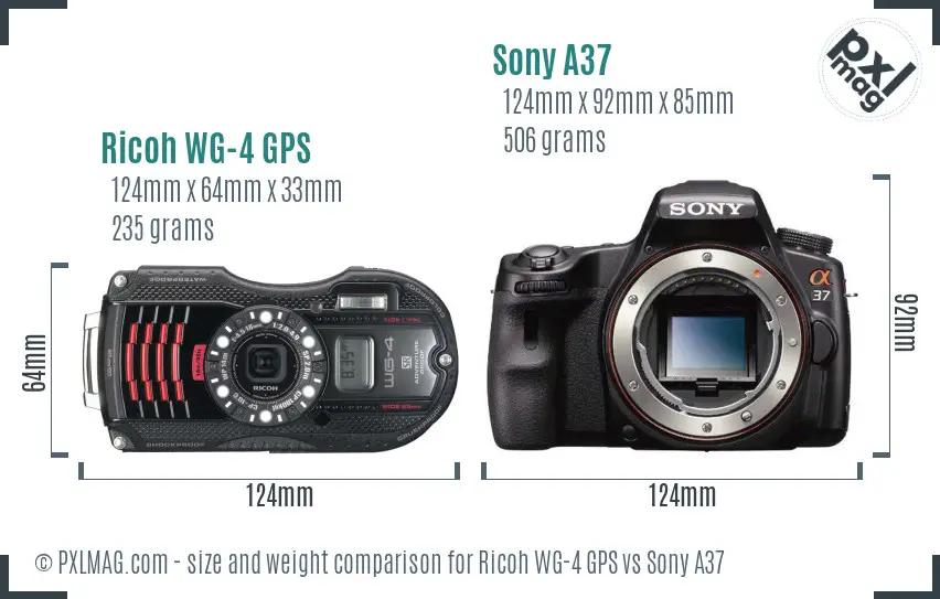 Ricoh WG-4 GPS vs Sony A37 size comparison