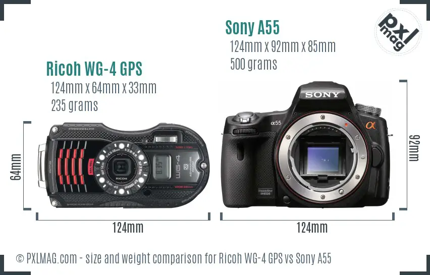 Ricoh WG-4 GPS vs Sony A55 size comparison