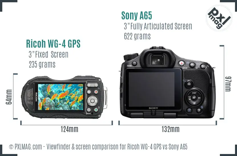 Ricoh WG-4 GPS vs Sony A65 Screen and Viewfinder comparison