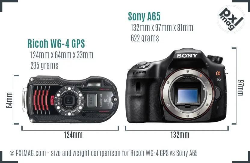 Ricoh WG-4 GPS vs Sony A65 size comparison
