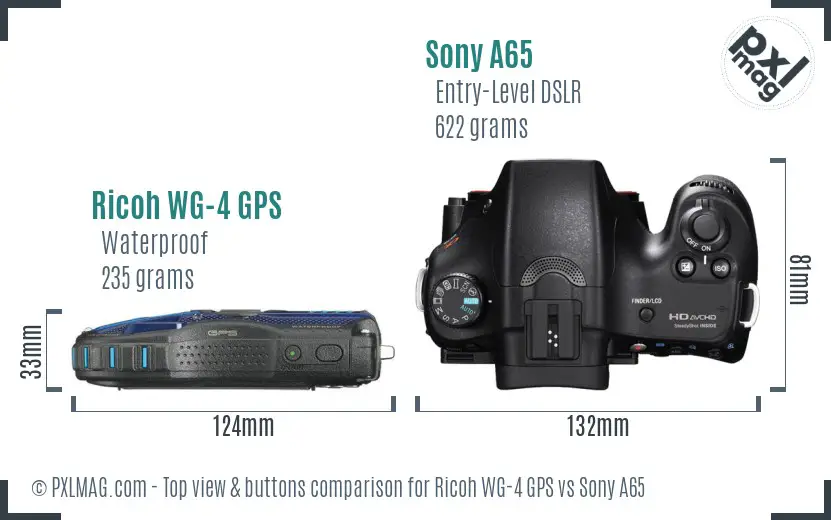 Ricoh WG-4 GPS vs Sony A65 top view buttons comparison