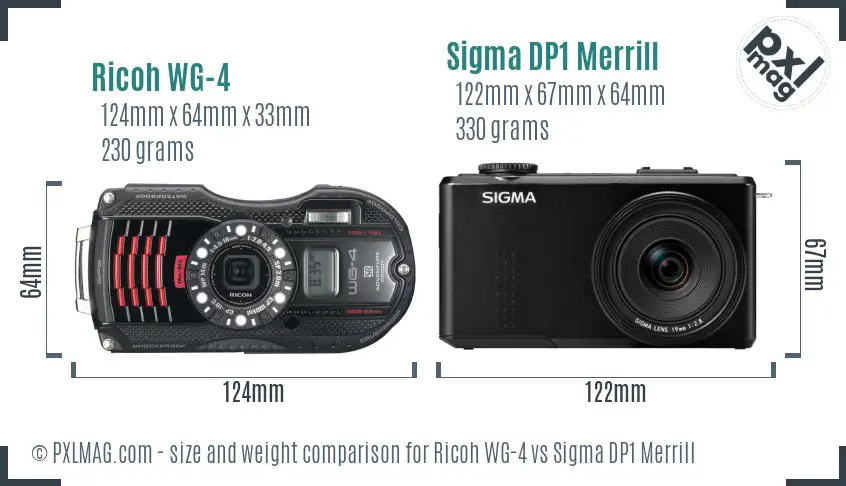 Ricoh WG-4 vs Sigma DP1 Merrill size comparison