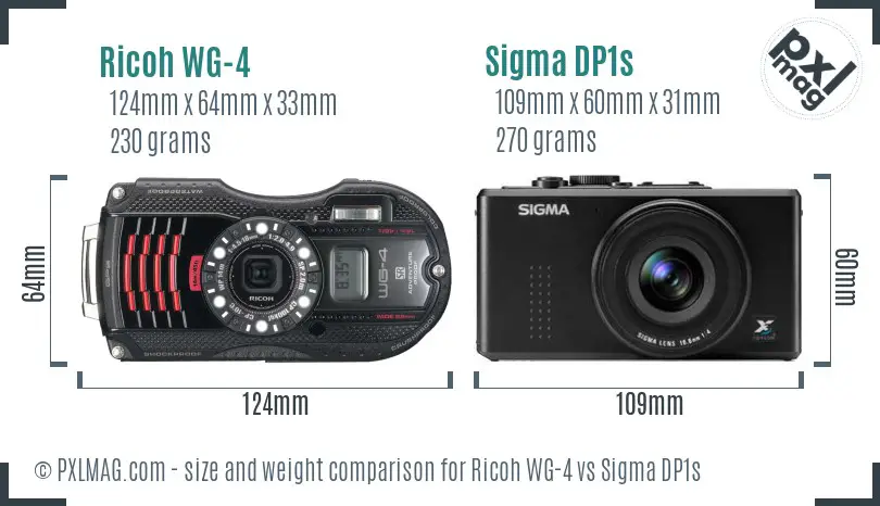 Ricoh WG-4 vs Sigma DP1s size comparison