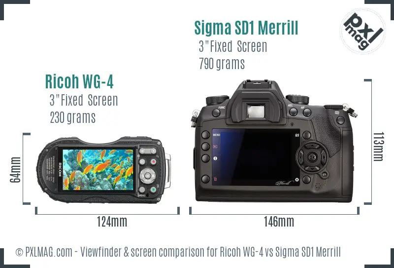Ricoh WG-4 vs Sigma SD1 Merrill Screen and Viewfinder comparison