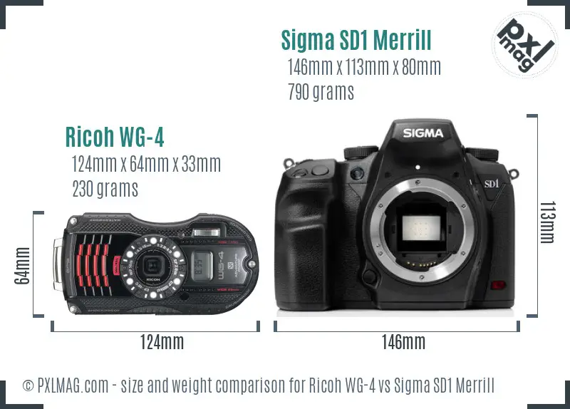 Ricoh WG-4 vs Sigma SD1 Merrill size comparison