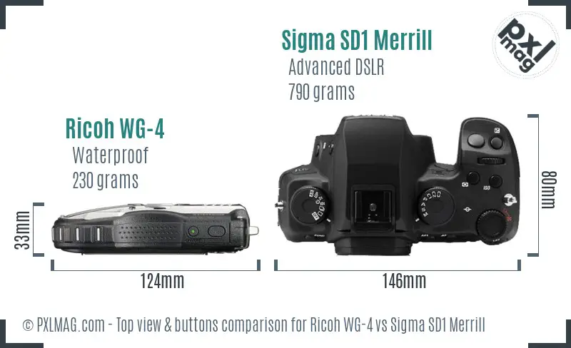 Ricoh WG-4 vs Sigma SD1 Merrill top view buttons comparison