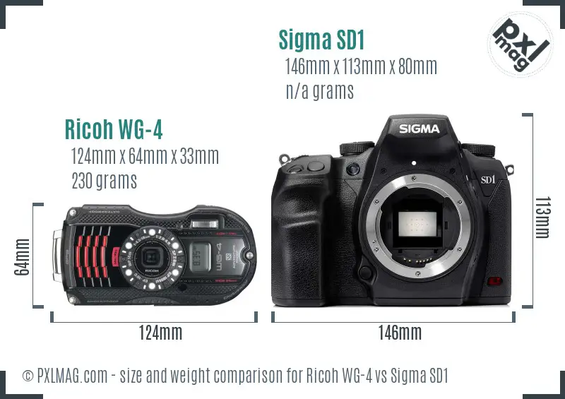 Ricoh WG-4 vs Sigma SD1 size comparison