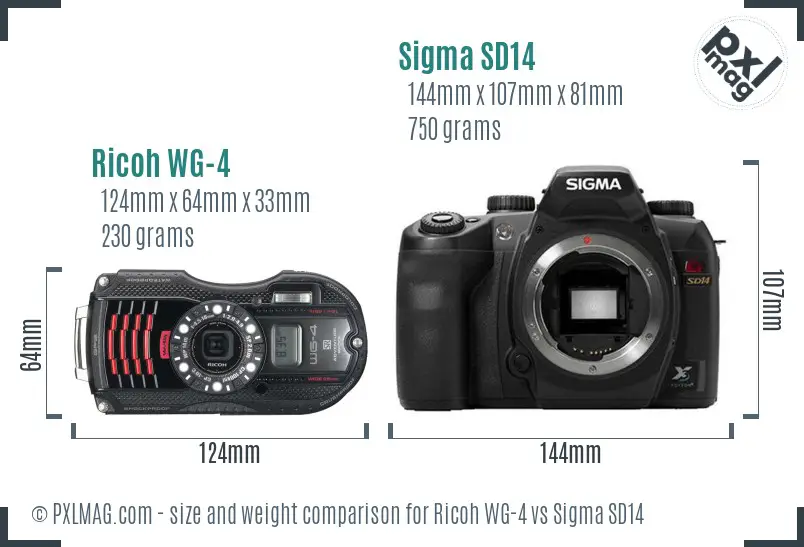 Ricoh WG-4 vs Sigma SD14 size comparison