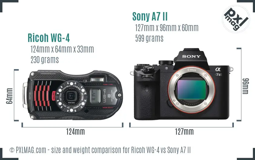 Ricoh WG-4 vs Sony A7 II size comparison