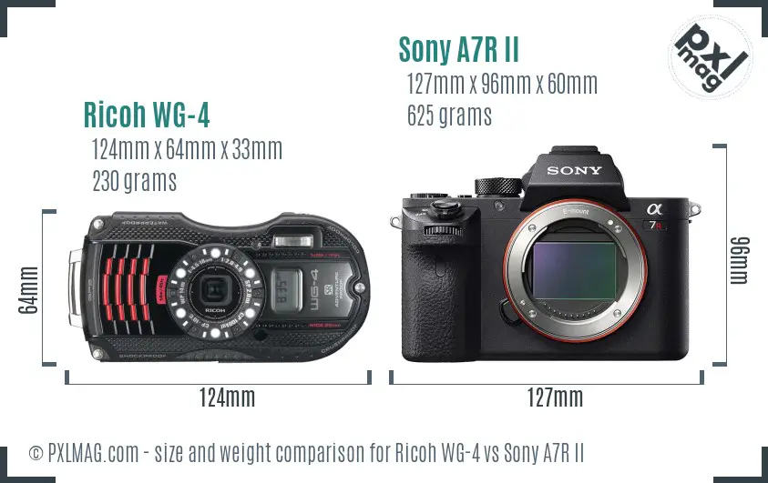 Ricoh WG-4 vs Sony A7R II size comparison