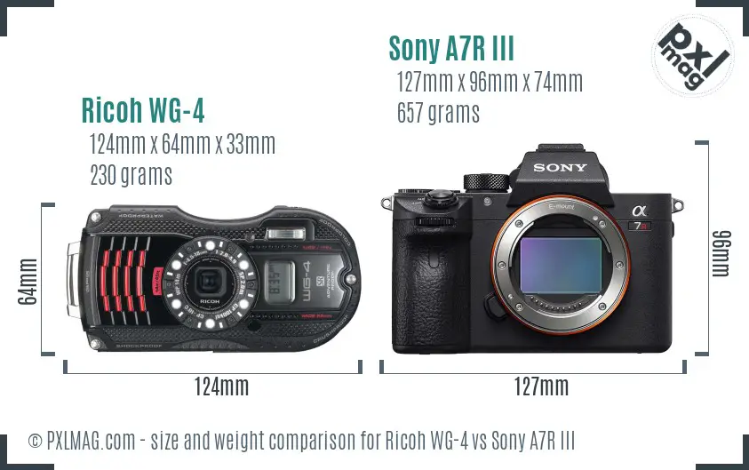 Ricoh WG-4 vs Sony A7R III size comparison