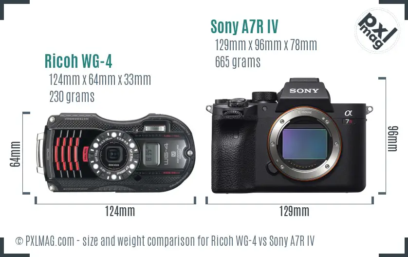 Ricoh WG-4 vs Sony A7R IV size comparison Ricoh WG-4 vs Sony A7R IV size comparison