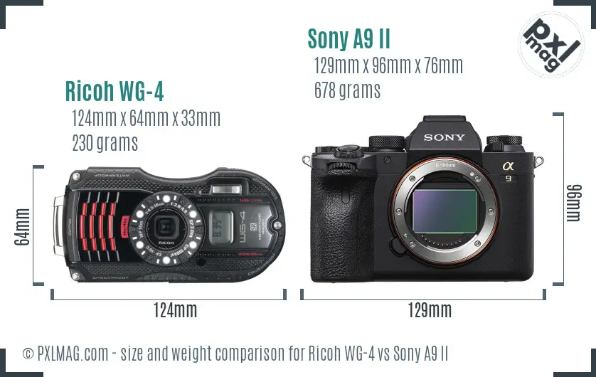 Ricoh WG-4 vs Sony A9 II size comparison