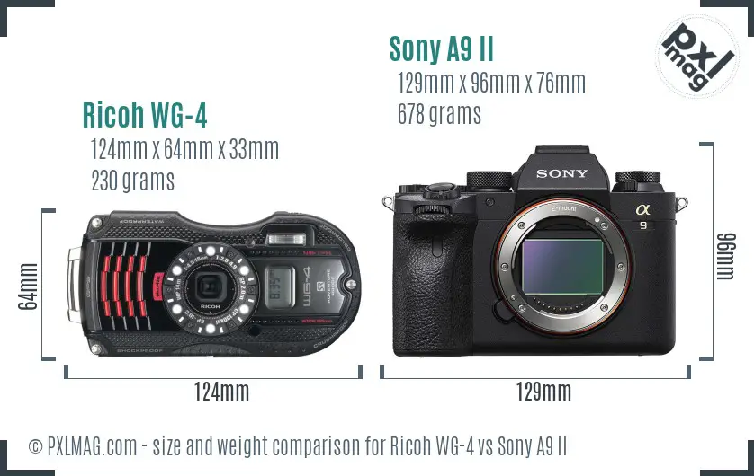 Ricoh WG-4 vs Sony A9 II size comparison Ricoh WG-4 vs Sony A9 II size comparison