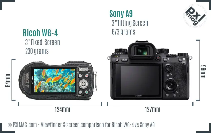 Ricoh WG-4 vs Sony A9 Screen and Viewfinder comparison