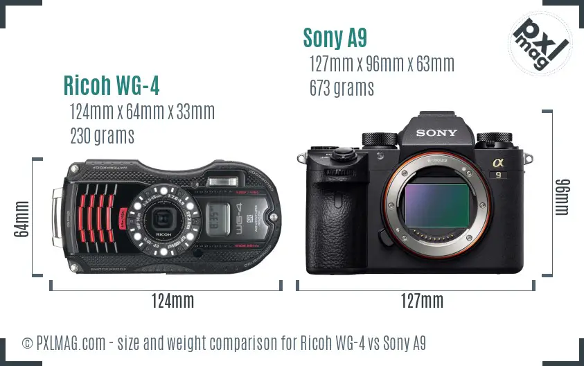 Ricoh WG-4 vs Sony A9 size comparison