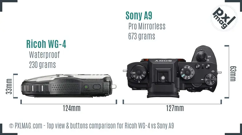 Ricoh WG-4 vs Sony A9 top view buttons comparison